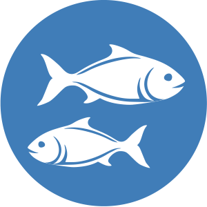 Obvestilo o ulovu rib